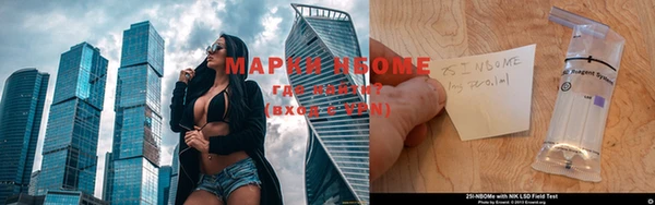 индика Арсеньев