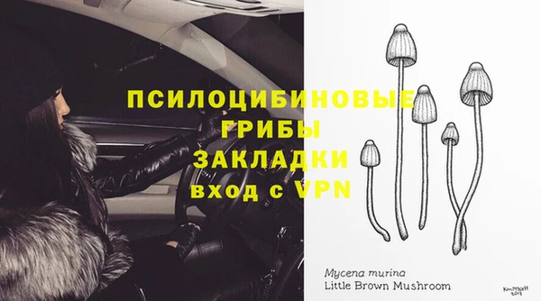 индика Арсеньев