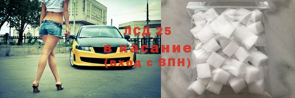 индика Арсеньев