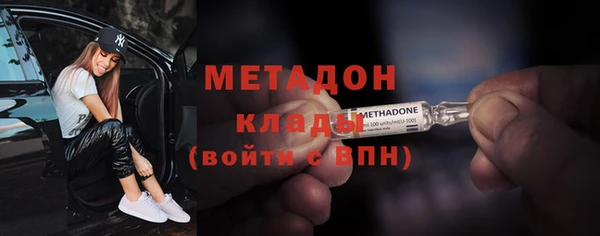 индика Арсеньев