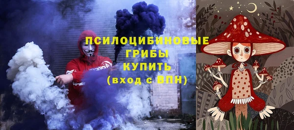 Альфа ПВП Аркадак