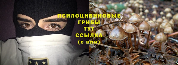 прущий лед Армянск