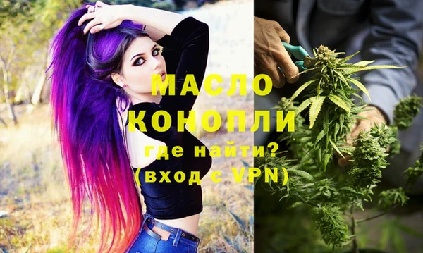 индика Арсеньев