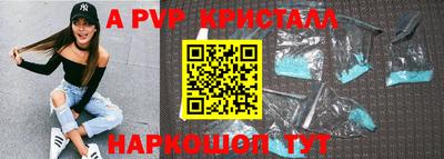 СК Новокубанск