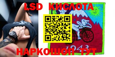 СК Новокубанск