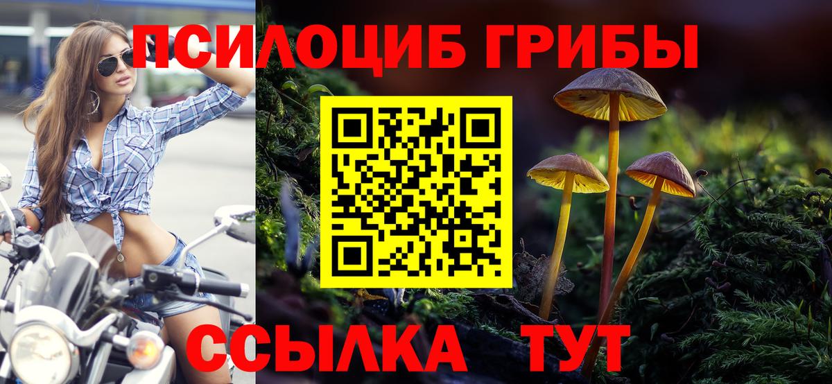 Галлюциногенные грибы прущие грибы  Вход с VPN  Чернушка 