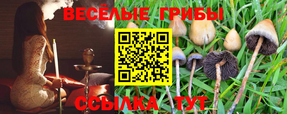 Галлюциногенные грибы мицелий Чернушка